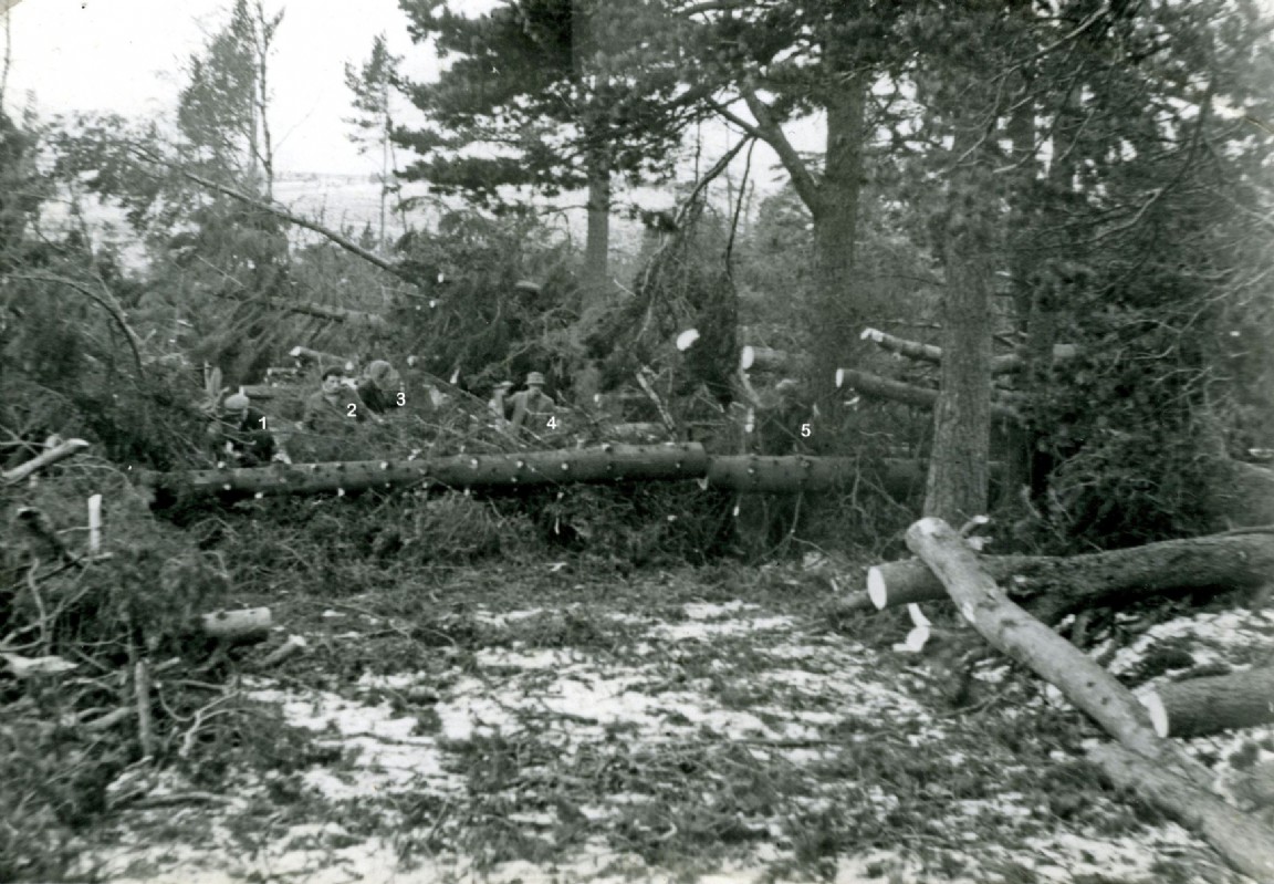 Tillypronie Estate 1953 Gale