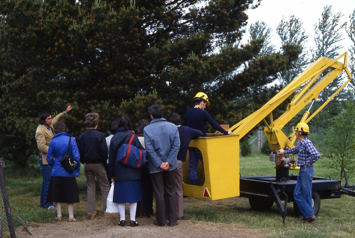 Newton Nursery  1981 Forest Research Station