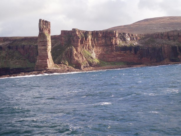 Forestry on the Orkney Island of Hoy
