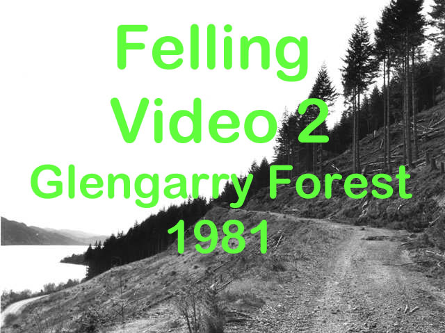 Bench Felling at Glengarry Forest 1981