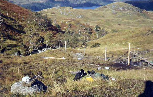 Sunart Forest - New Deer fencing in Achanellan