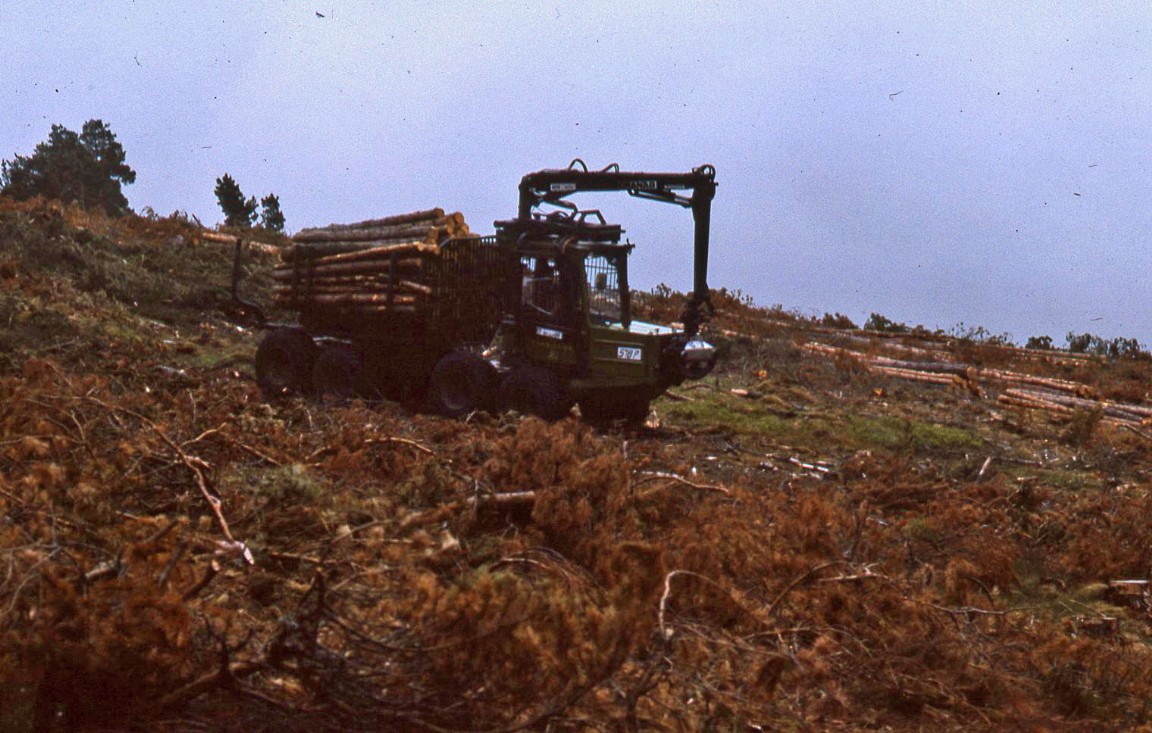 Bruunett Lightweight Forwarder