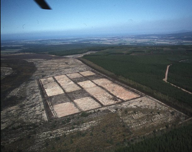 Aerial View of T111 Experiment site, Teindland 