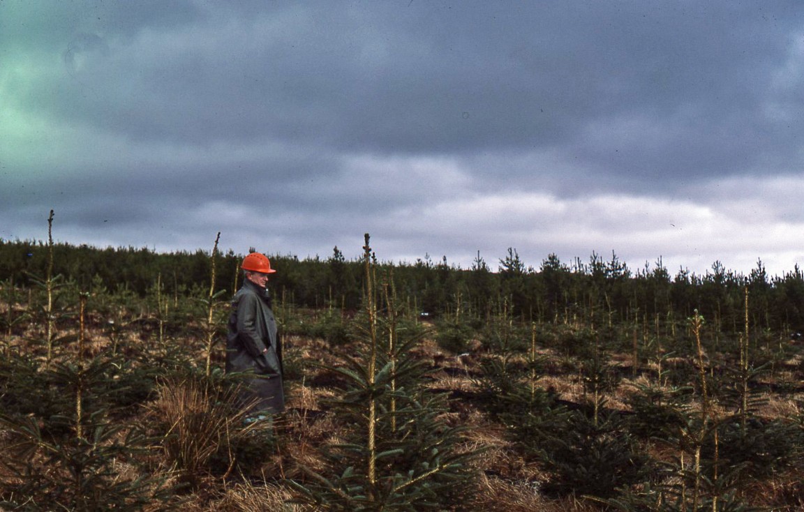 Experiment sites in Shin Forest 