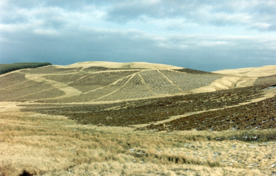 ForestryPloughing above Dunning, Perth and Kinross