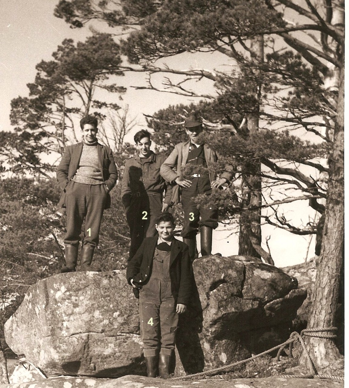 Cone Collecting Loch Maree Islands