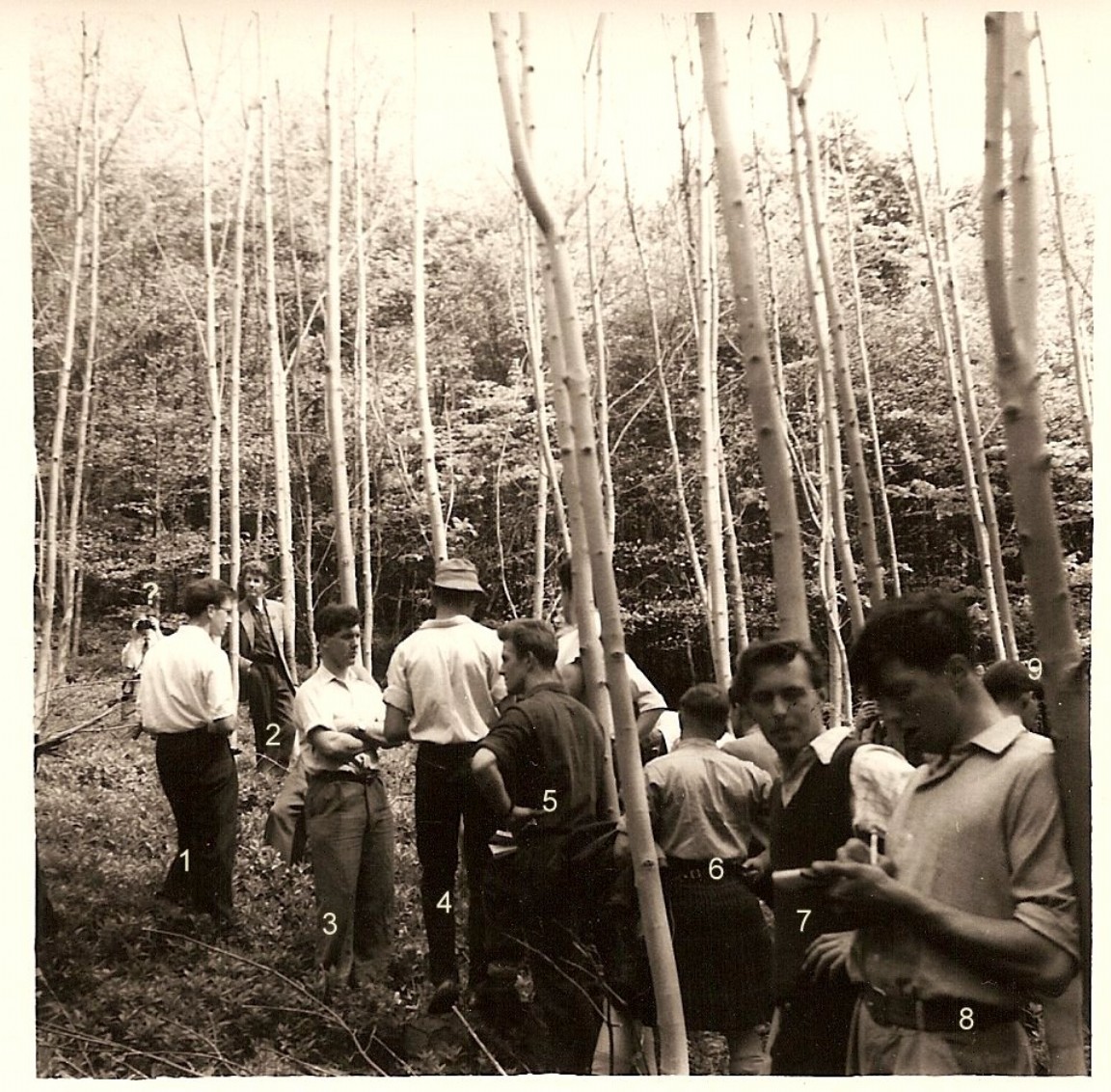 Faskally Forestry students at Kinoull