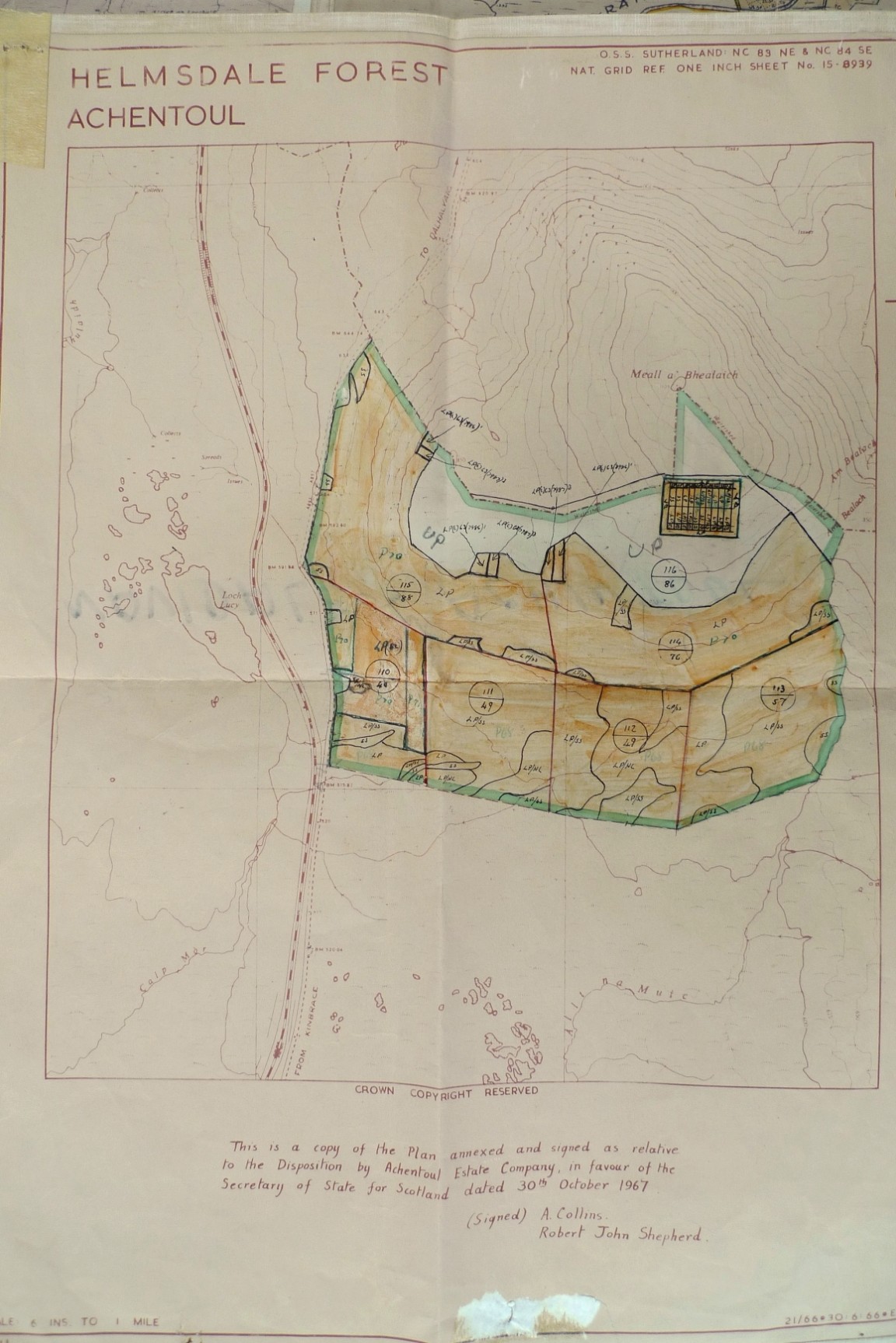 Achentoul plantation - Helmsdale Forest