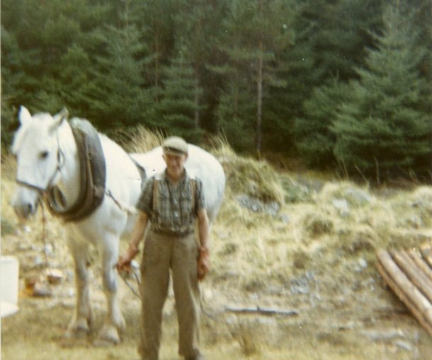 Willie MacLennan, FC Horseman at Lael Forest