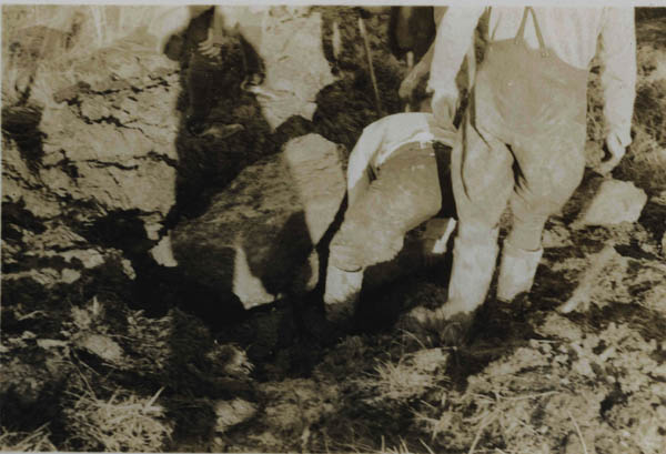 Hand Draining in Bin Forest - Huntly