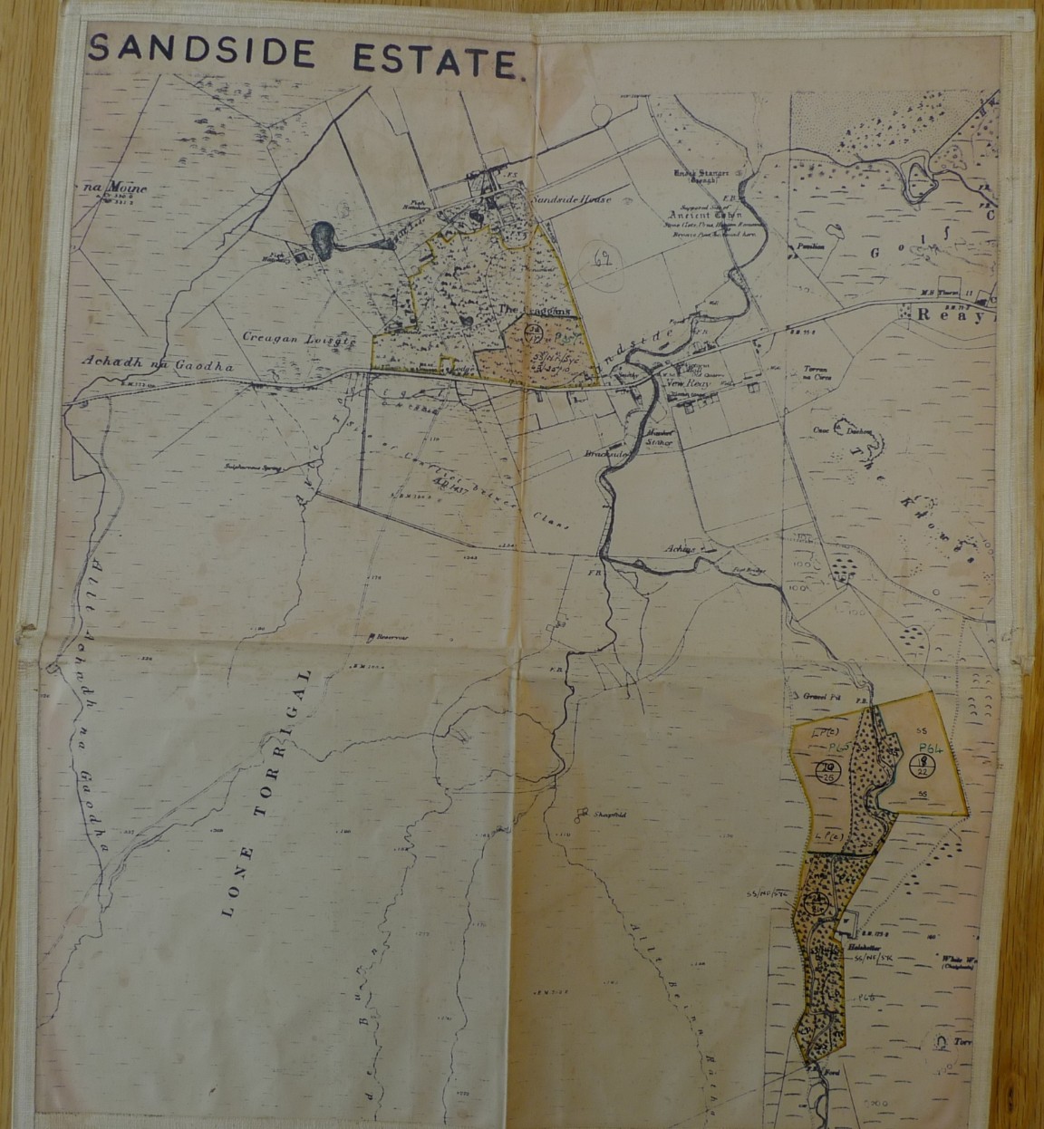 Sandside Plantations &mdash; Strathy Forest