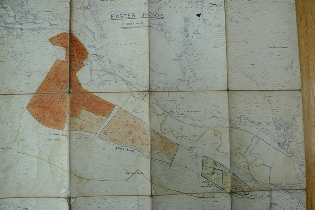 Dornoch Forest � Easter Rovie Woods, Rogart