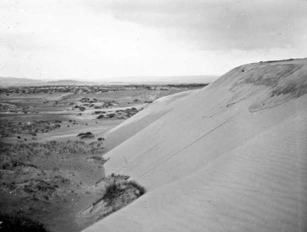 Culbin Forest circa 1932