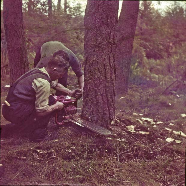 Danarm Power  Saw circa 1954