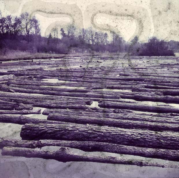 Dunecht Loch filled with Pine Logs