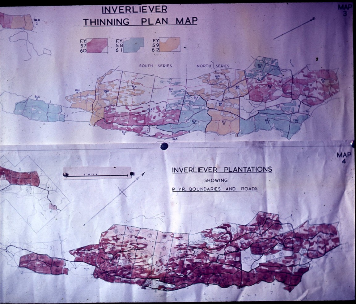 Planning map of Inverliever Forest circa 1957