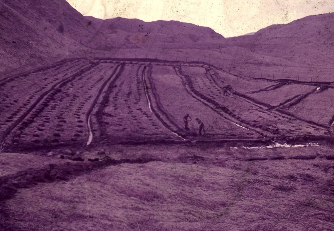 Men cutting turfs from plough furrows