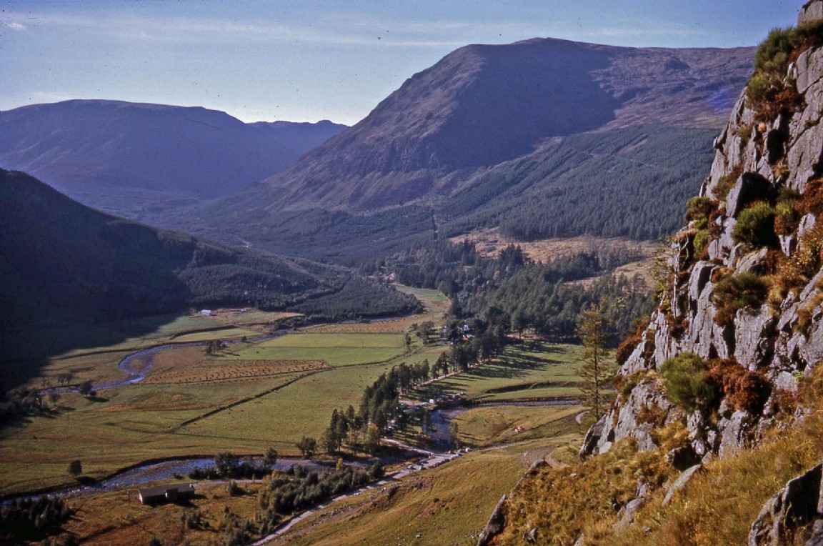 Glendoll and the Forest