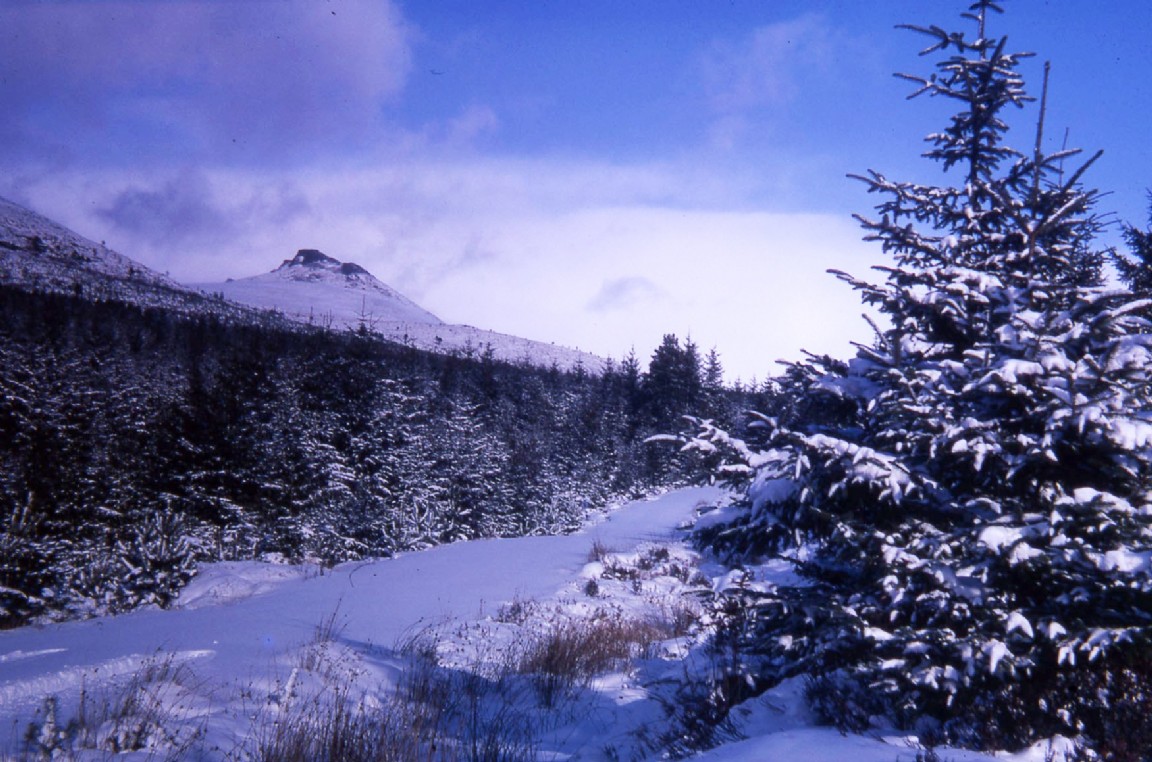 Bennachie Forest &mdash; Mither Tap in the Snow