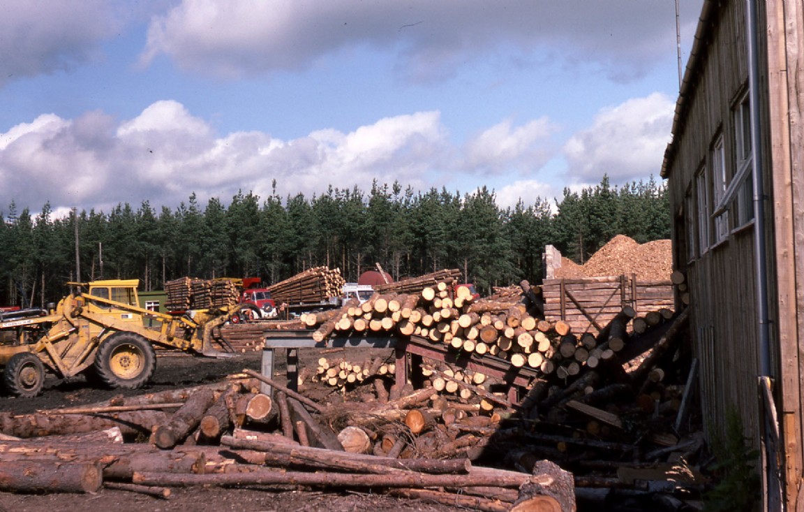 Riddoch&rsquo;s Kinnoir Sawmill 1975