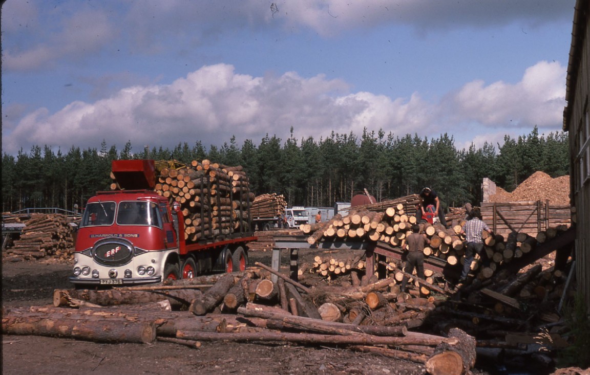Riddoch&rsquo;s Kinnoir Sawmill 1975