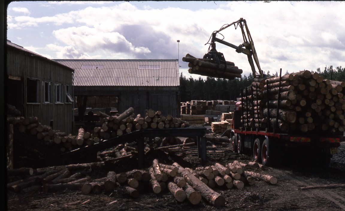 Riddoch�s Kinnoir Sawmill 1975