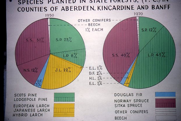 Tree species planted in 1950 and 1970