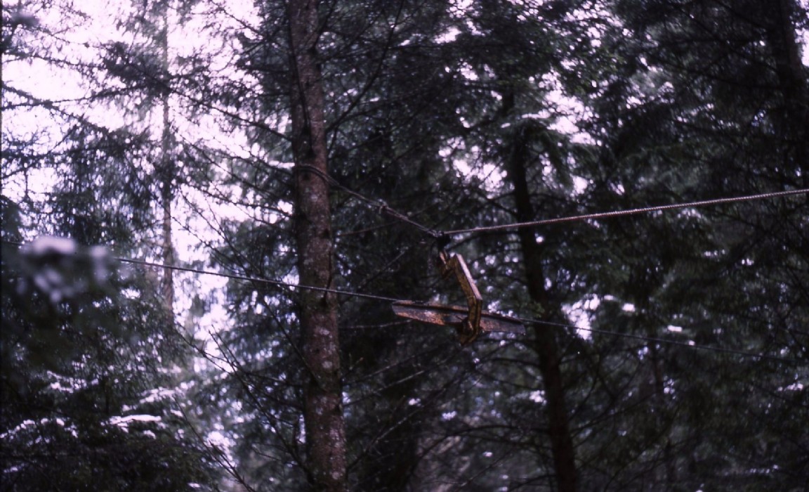 Cablecrane course Glengarry Forest