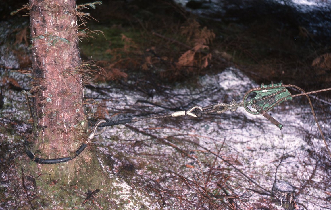 Cablecrane course Glengarry Forest