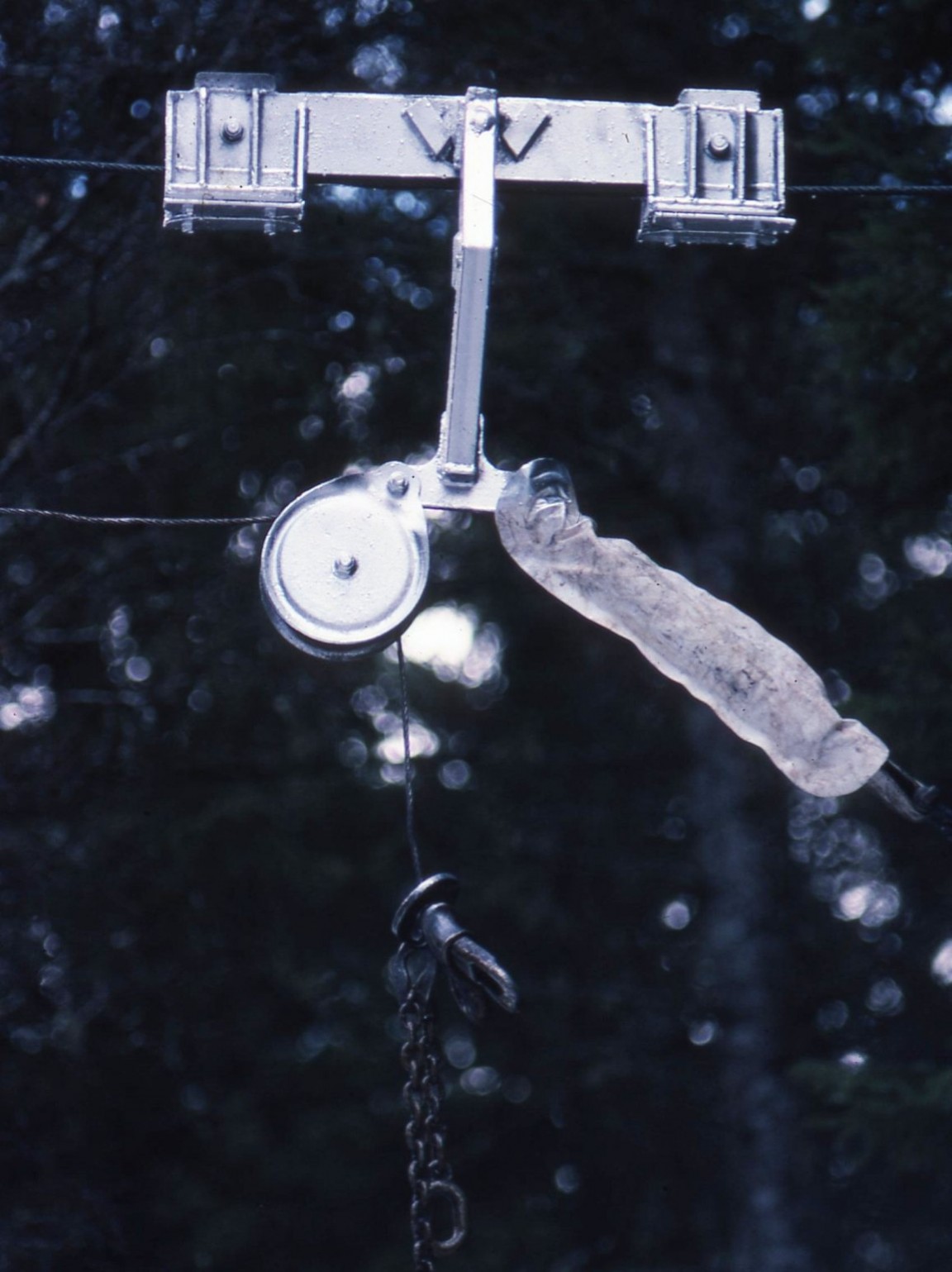 Cablecrane course Glengarry Forest