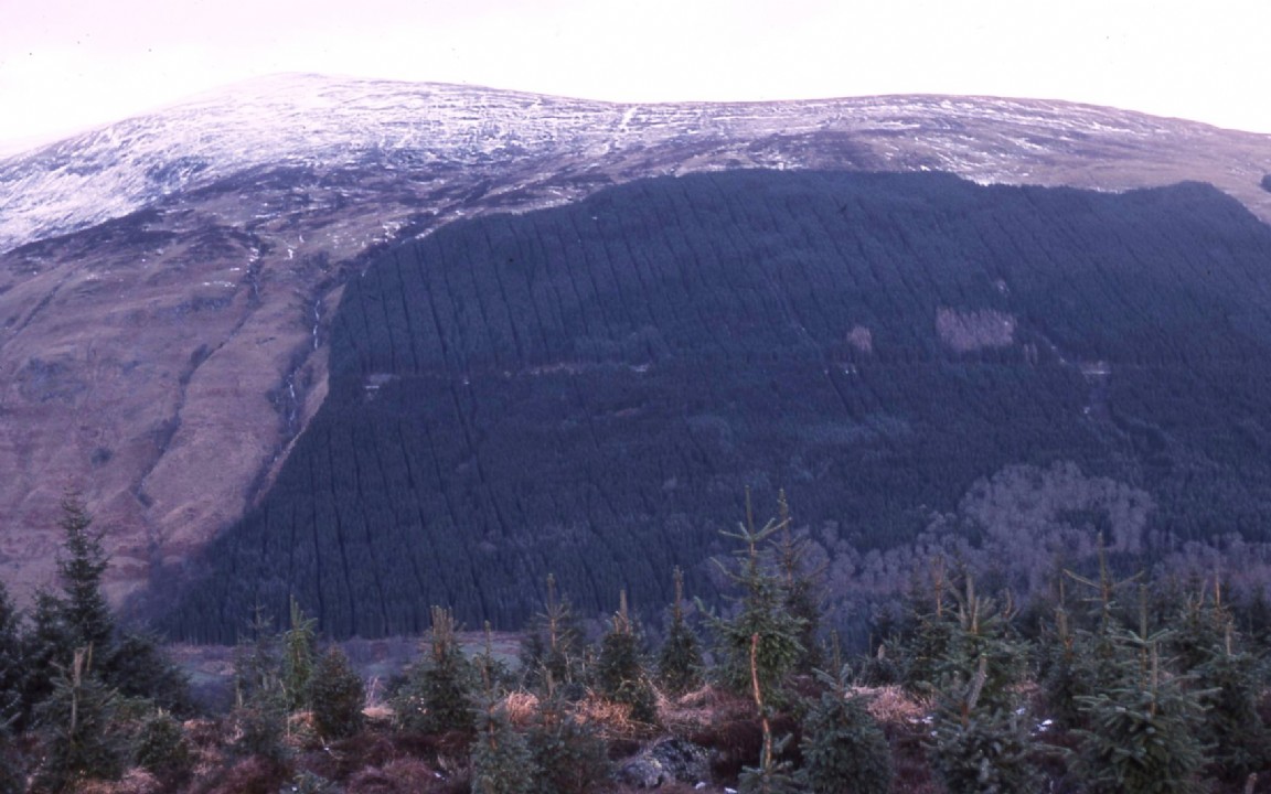 Cablecrane course Glengarry Forest