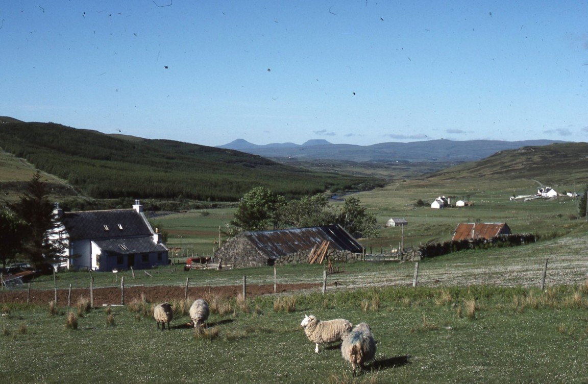 Glen Hinnisdale Plantation Skye