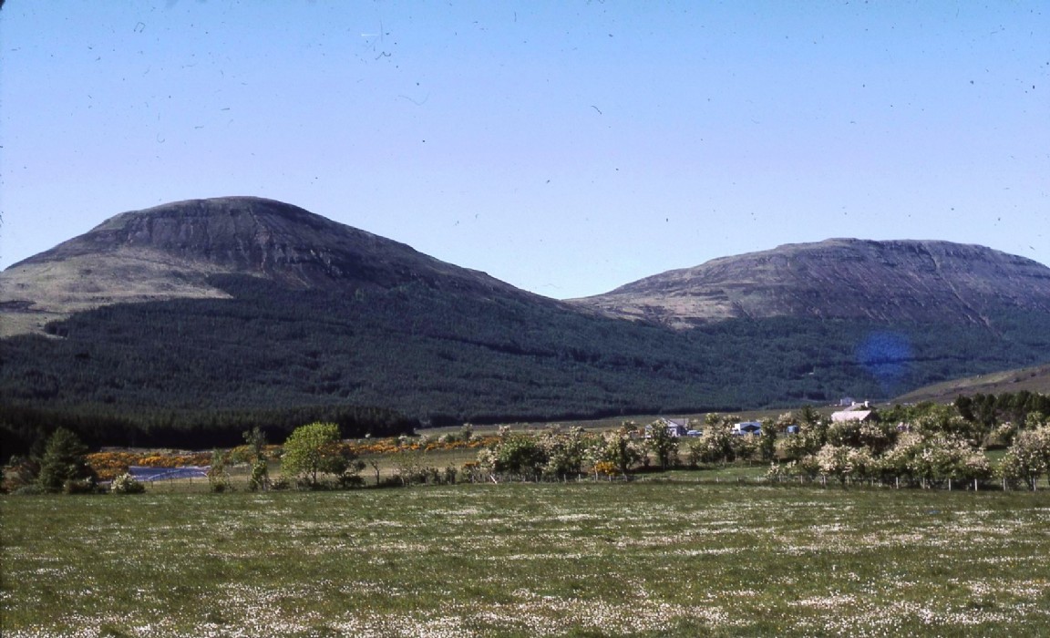 Lower Glen Brittel Forest