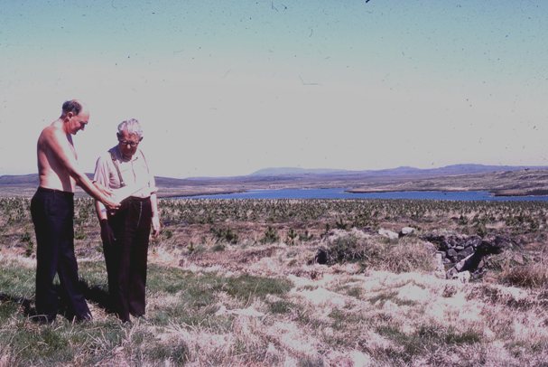 Garynahine Forest - Lewis