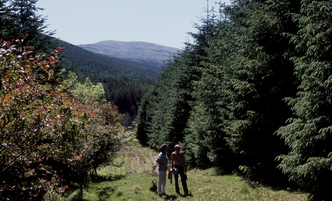 Varcasaig Forest , Skye
