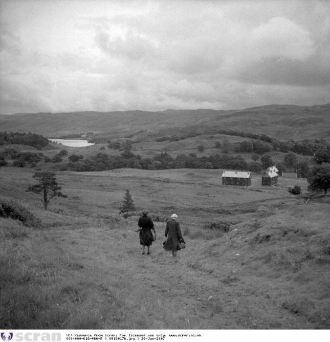 Glimpse of LochAwe and new forestry houses at Ford