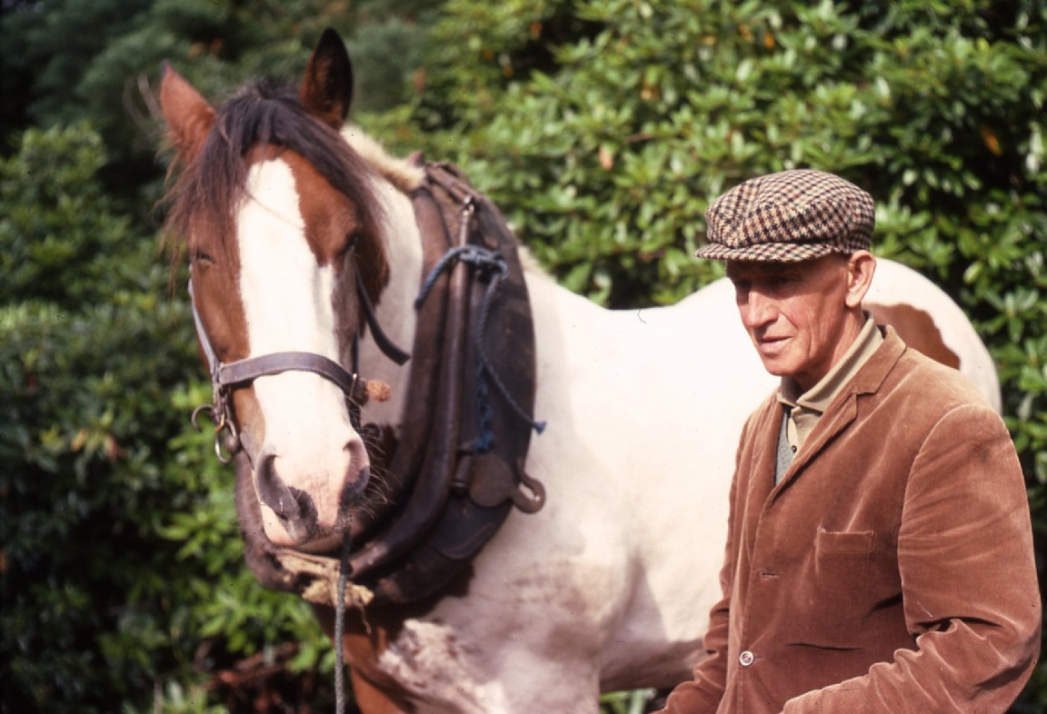 Willie MacLennan - Horseman &mdash; Lael Forest