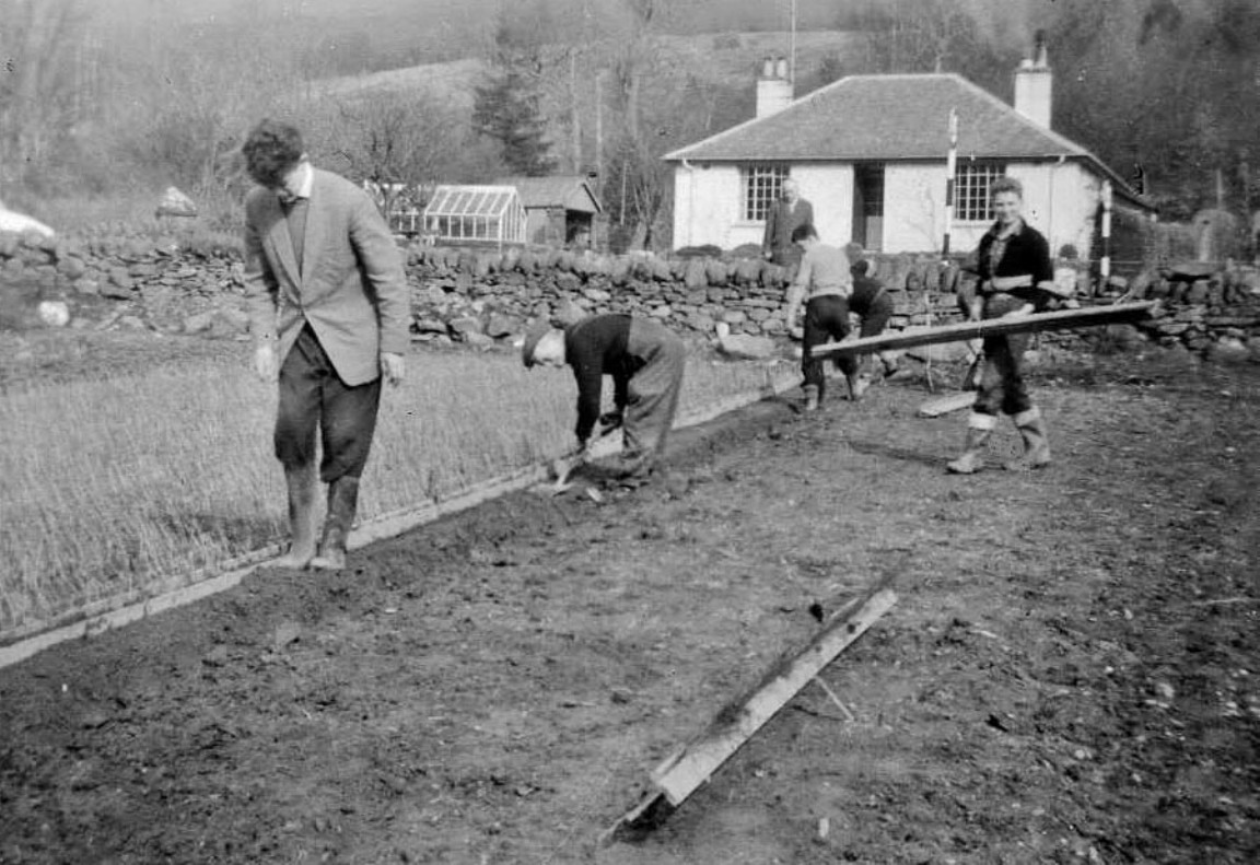 Lining out trees in Strathyre Forest nursery