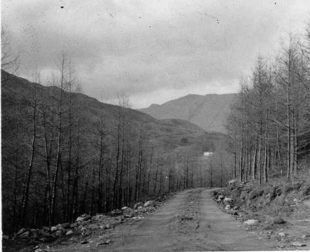 Constructing new forest road at Runacraig