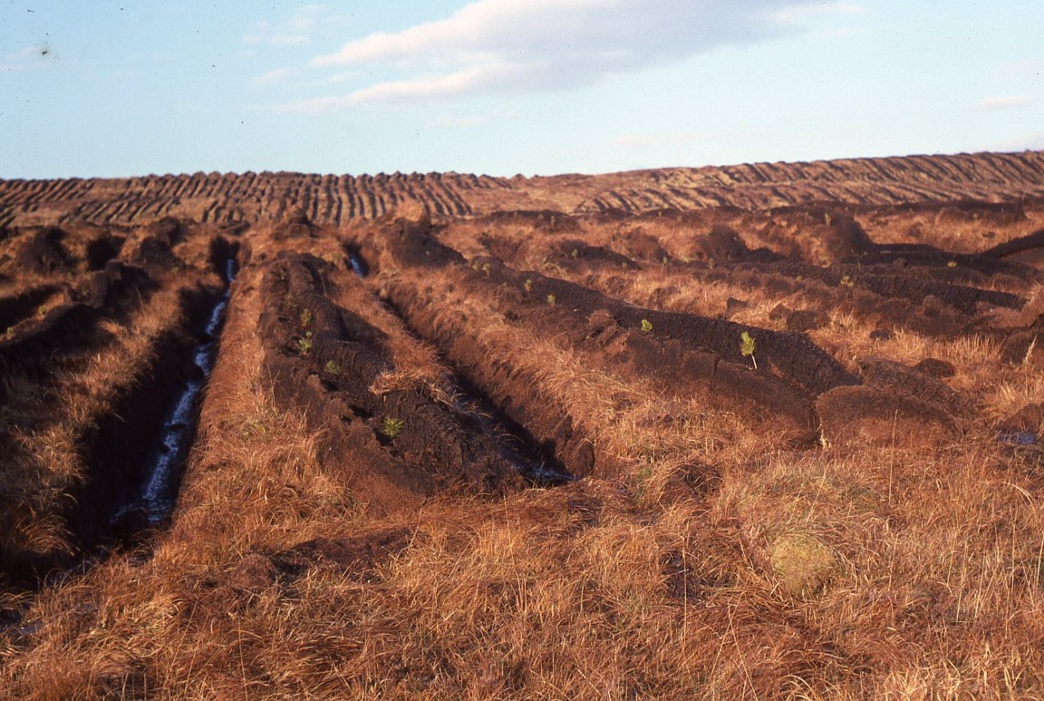 Planting on step cut single furrow ploughing