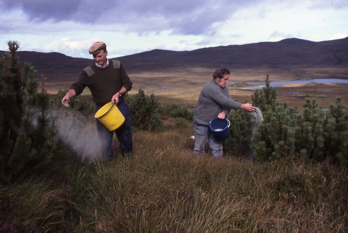 Hand Fertilising Aline Forest, Lewis