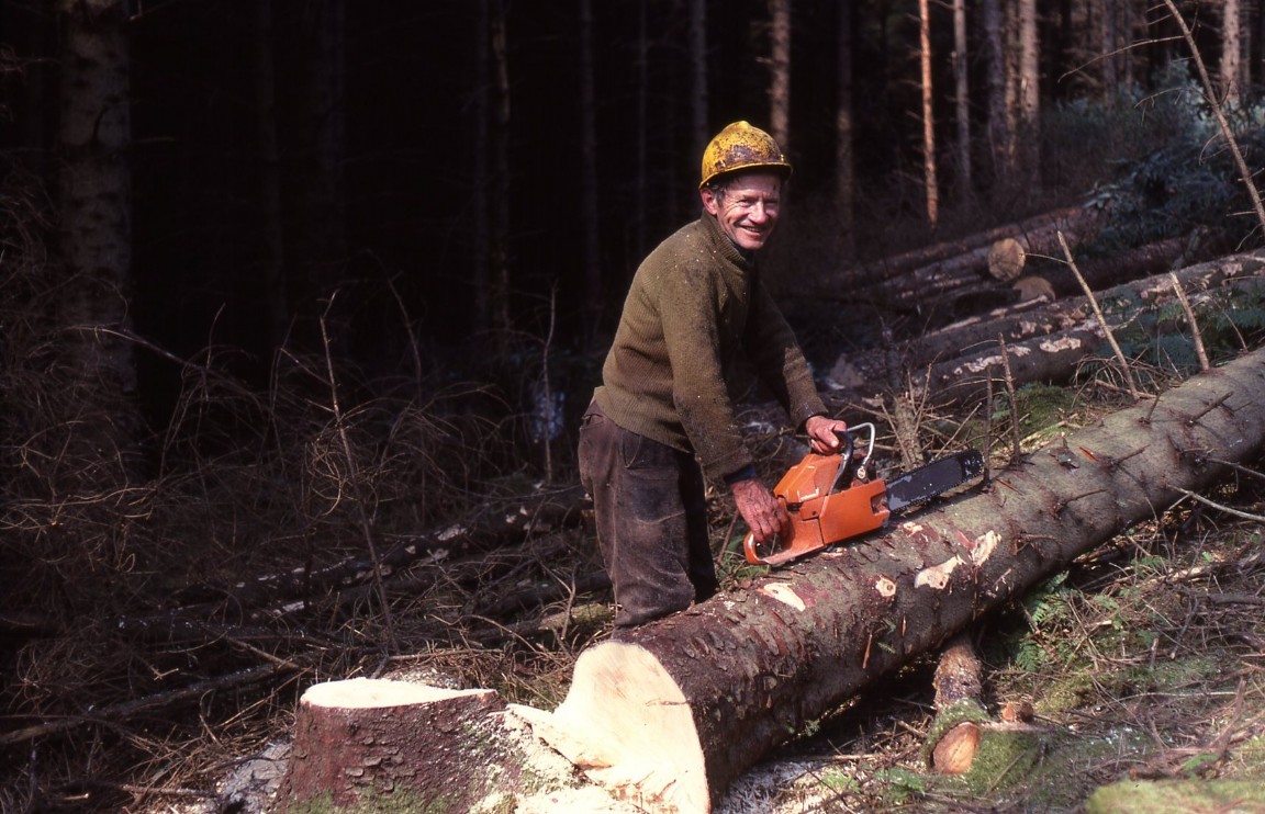 Felling 50 year old Sitka Glen Brittle Forest