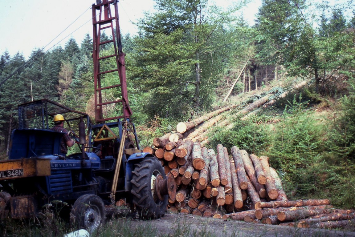 Extracting 50 year old Sitka spruce Glen Brittle 