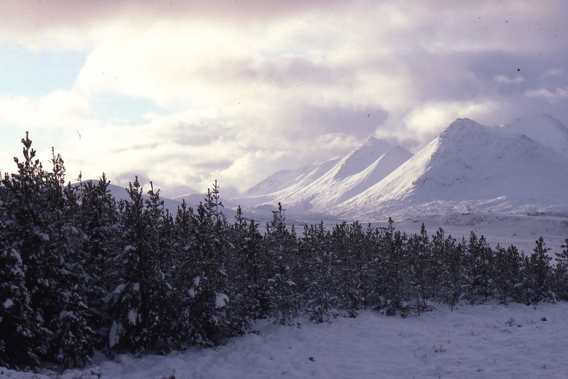 Raasay - Suisnish Forest looking towards Skye 