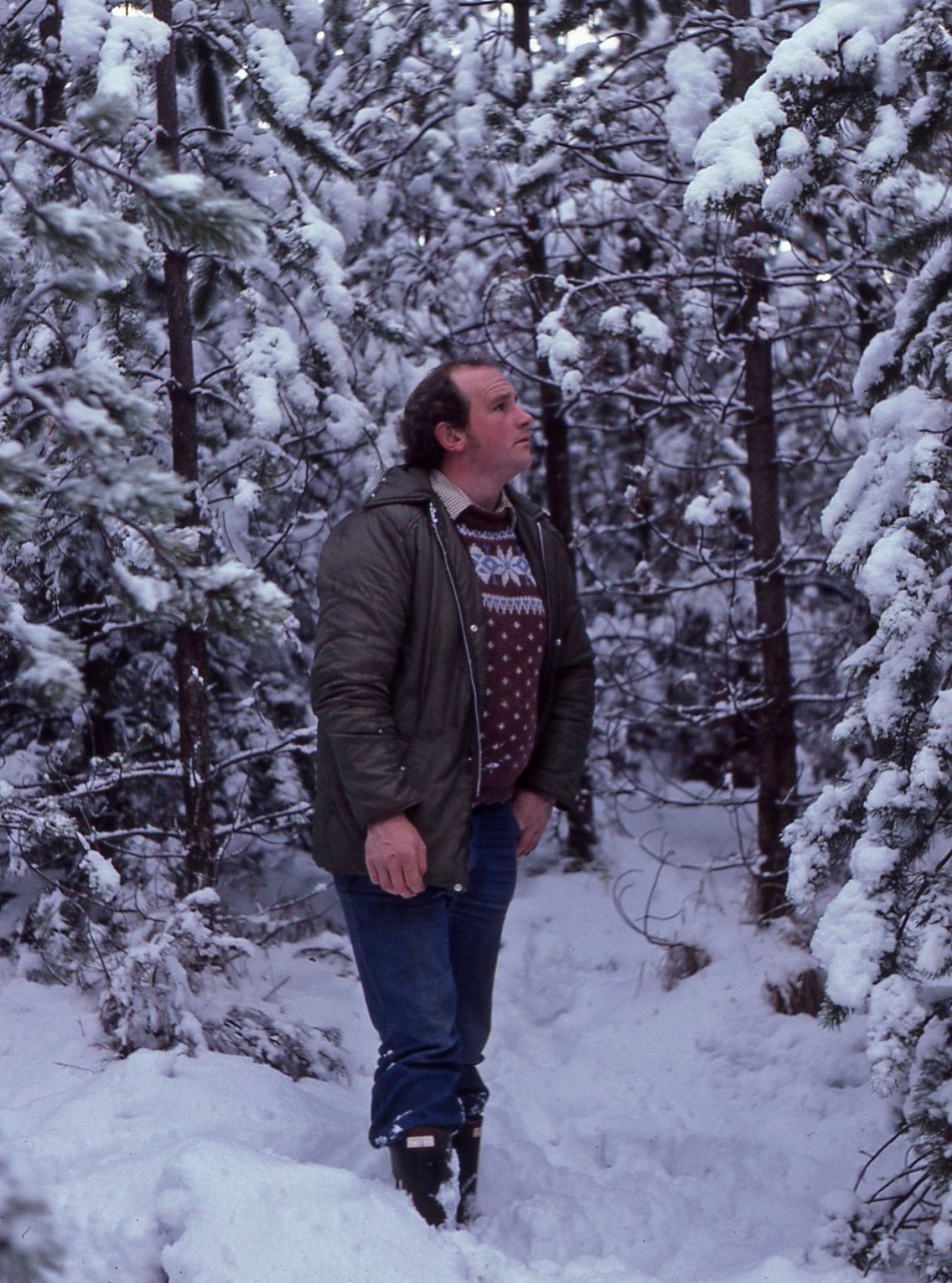 In the Forest at Suishnish &mdash; Raasay