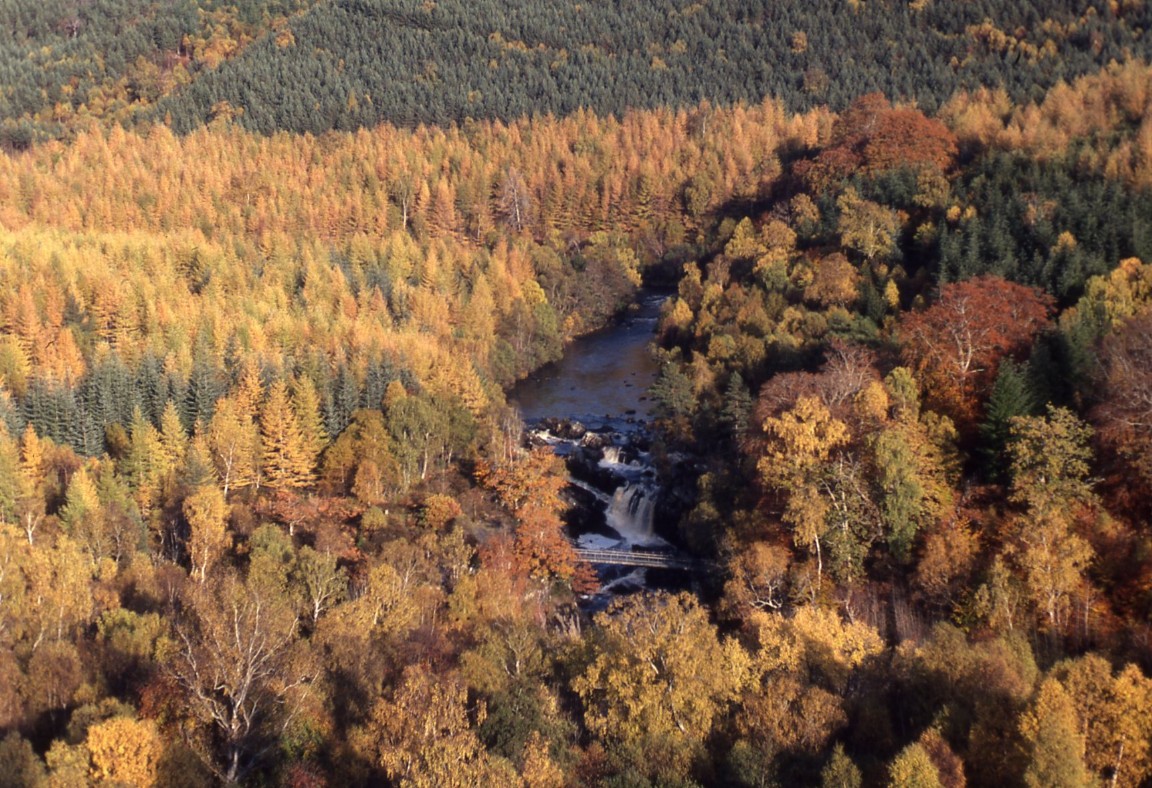Falls of Rogie on Blackwater - autumn colours