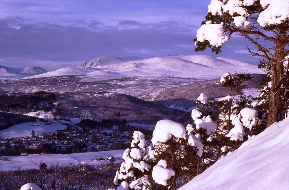 Ben Wyvis from Cnoc, Blackmuir