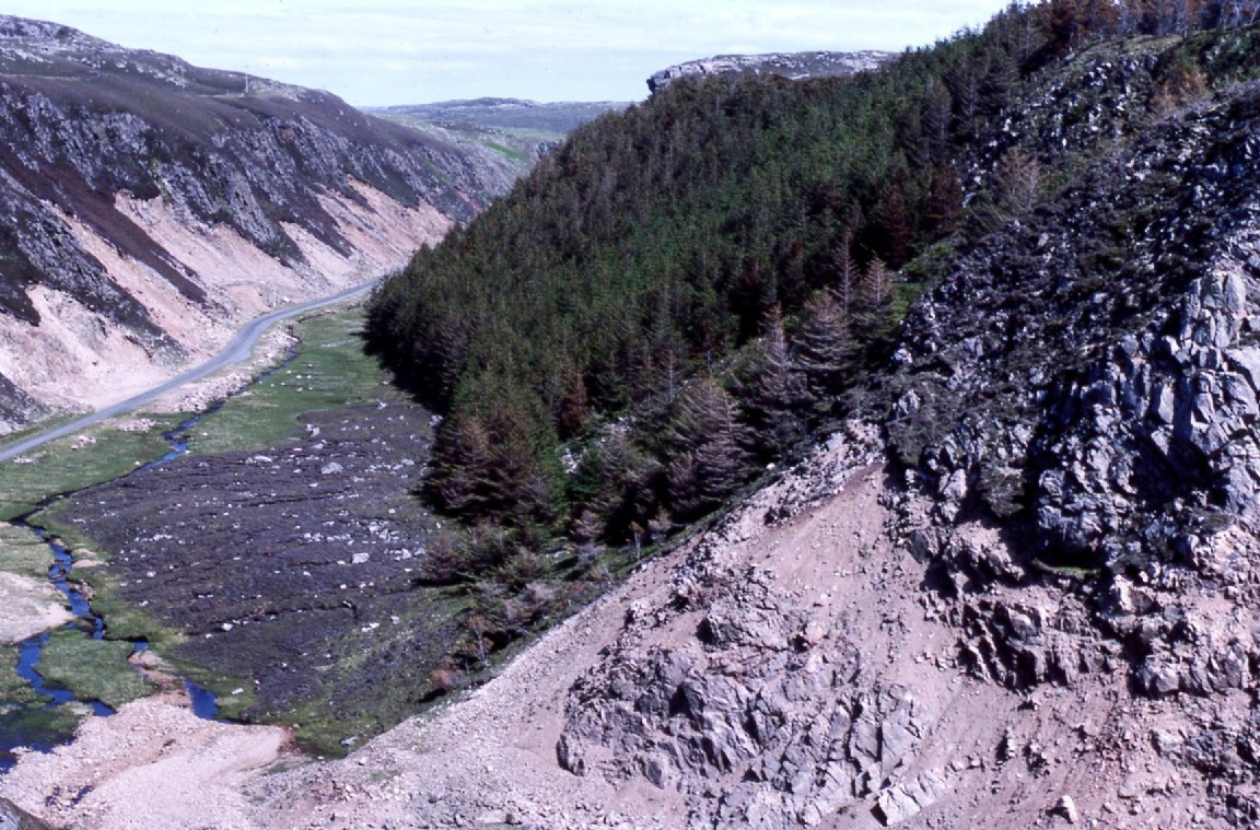 Lewis, Forestry in Glen Valtos near Miavaig