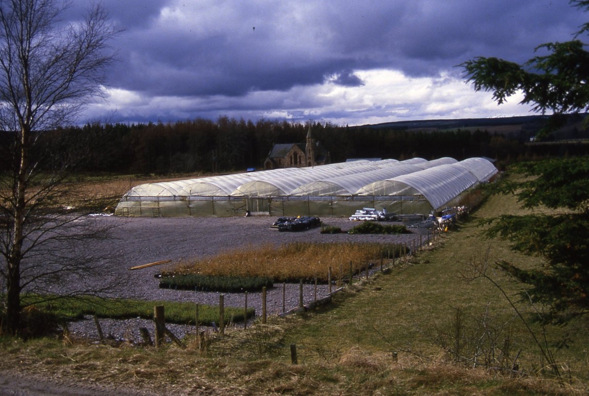 Bogallan Nursery, North Kessock