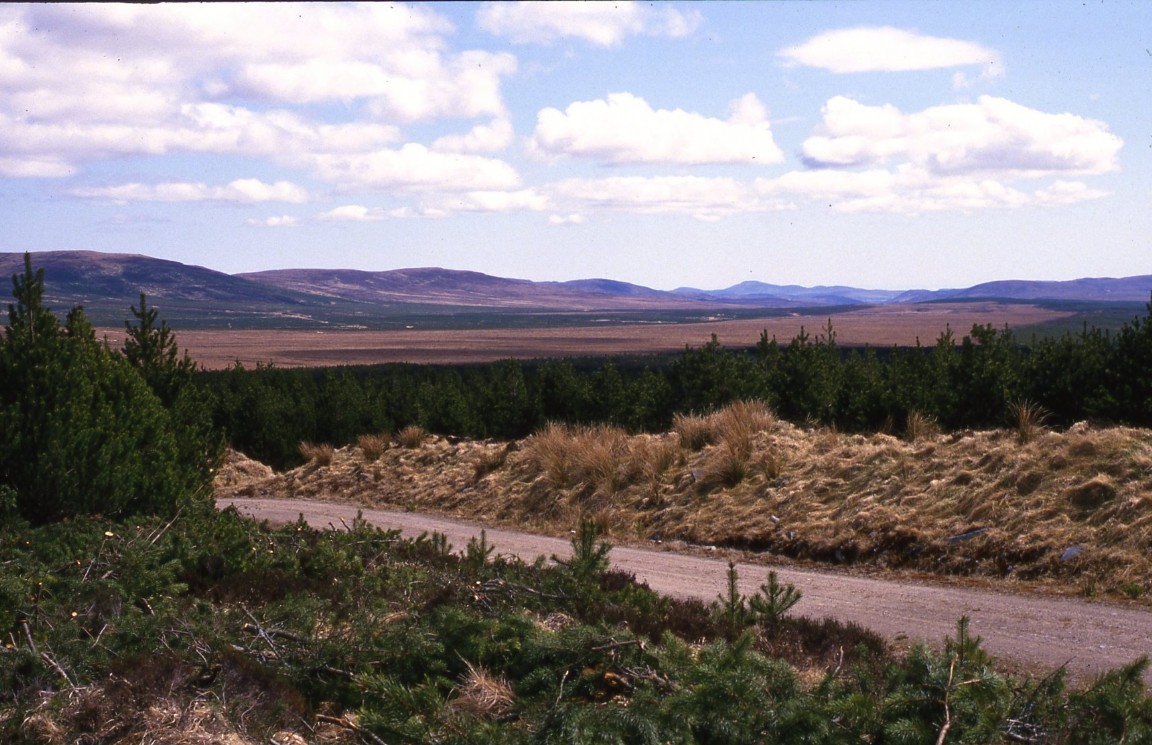 Joint Forestry Societies&rsquo; Tour of North Scot